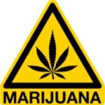 marijuana