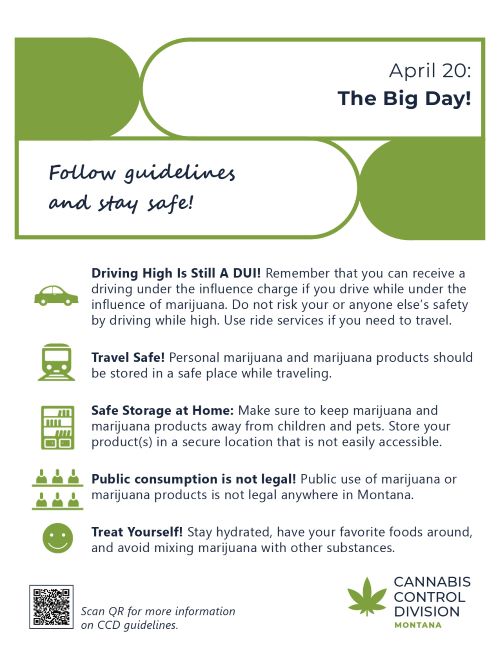 The Big Day poster preview